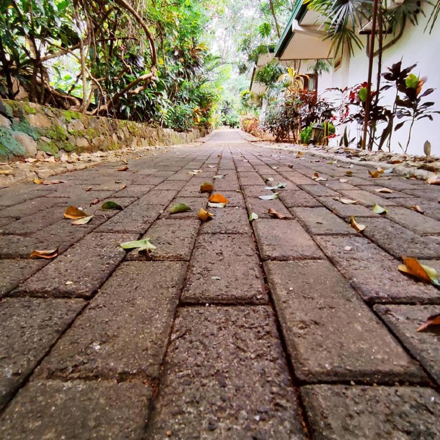 Seethawaka Regency Avissawella Buitenkant foto