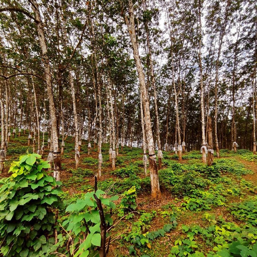 Seethawaka Regency Avissawella Buitenkant foto